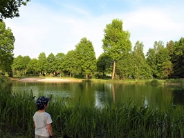 Kleiner Waldsee